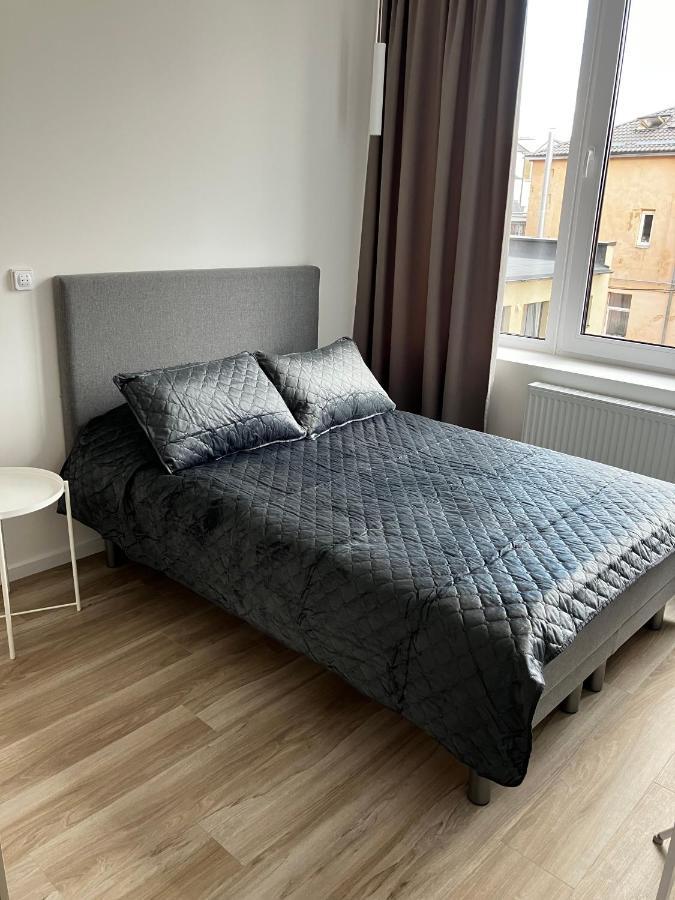 Ingos Laisves Al. Apartamentai Kowno Zewnętrze zdjęcie